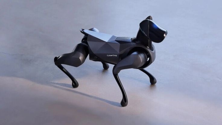 Black robotic dog